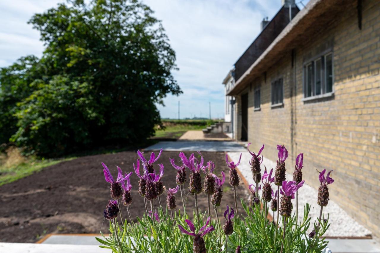 Appartement De Dageraad In Monumentale Boerderij Kimswerd Bagian luar foto