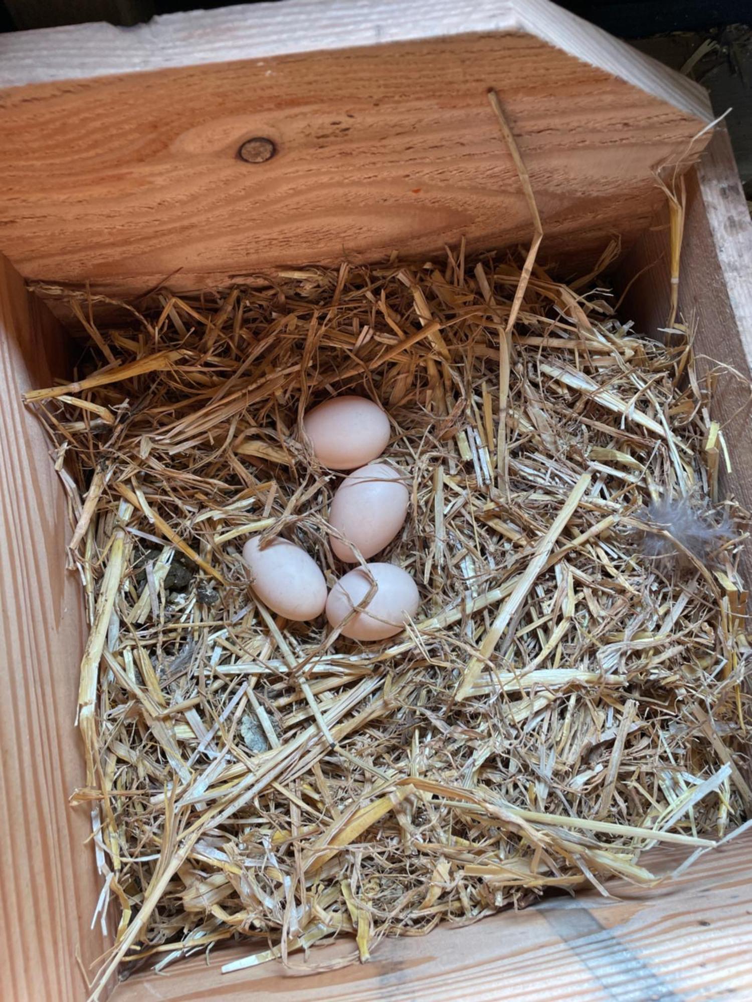 Appartement De Dageraad In Monumentale Boerderij Kimswerd Bagian luar foto