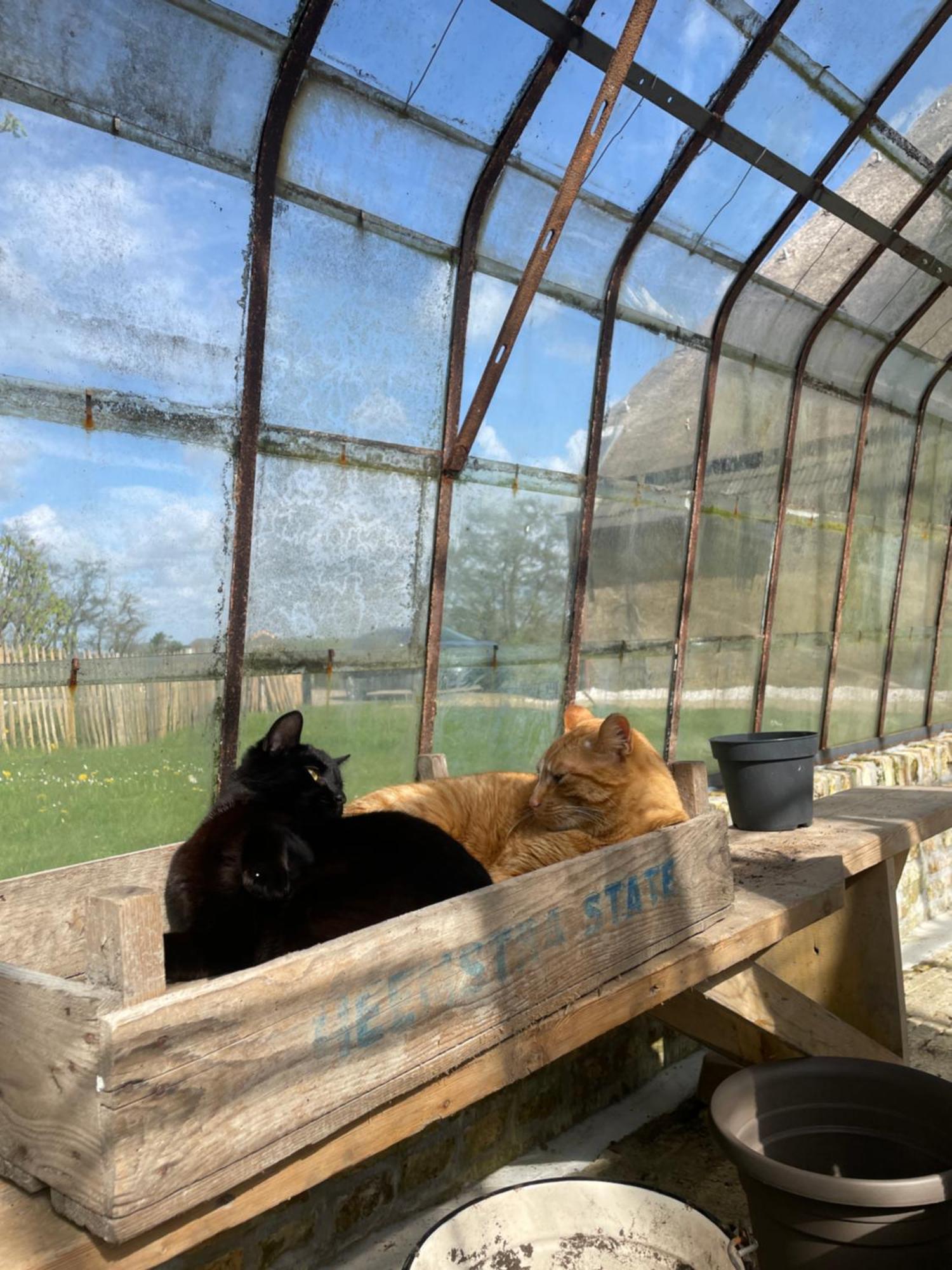 Appartement De Dageraad In Monumentale Boerderij Kimswerd Bagian luar foto