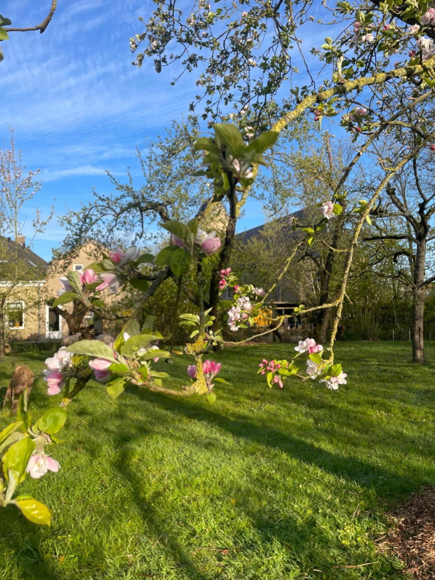 Appartement De Dageraad In Monumentale Boerderij Kimswerd Bagian luar foto