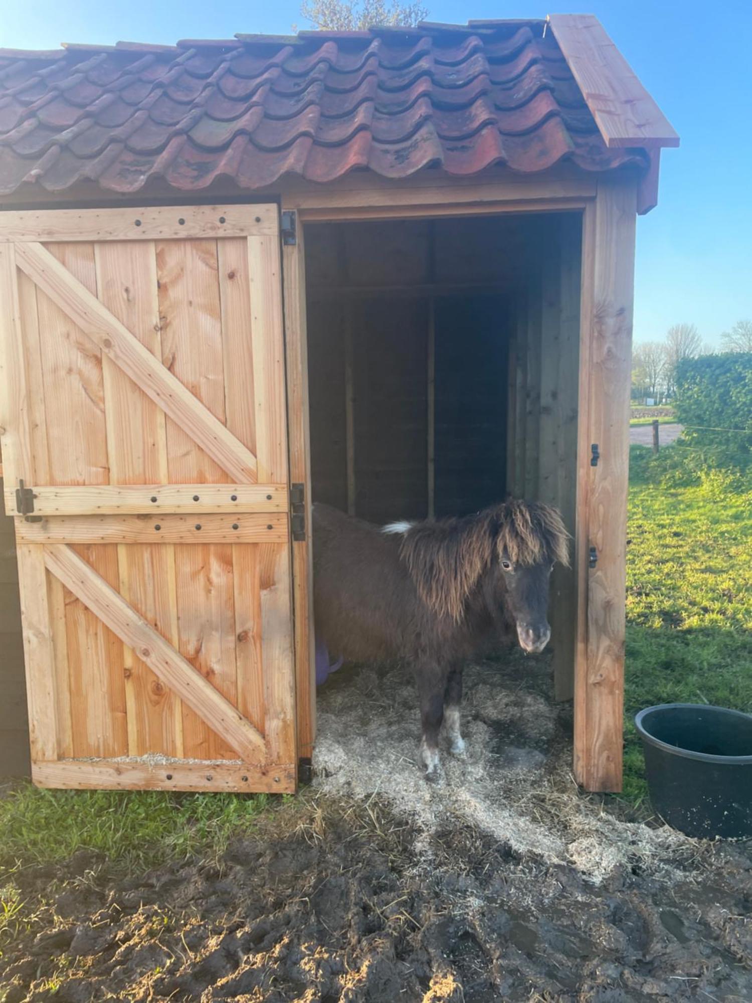 Appartement De Dageraad In Monumentale Boerderij Kimswerd Bagian luar foto
